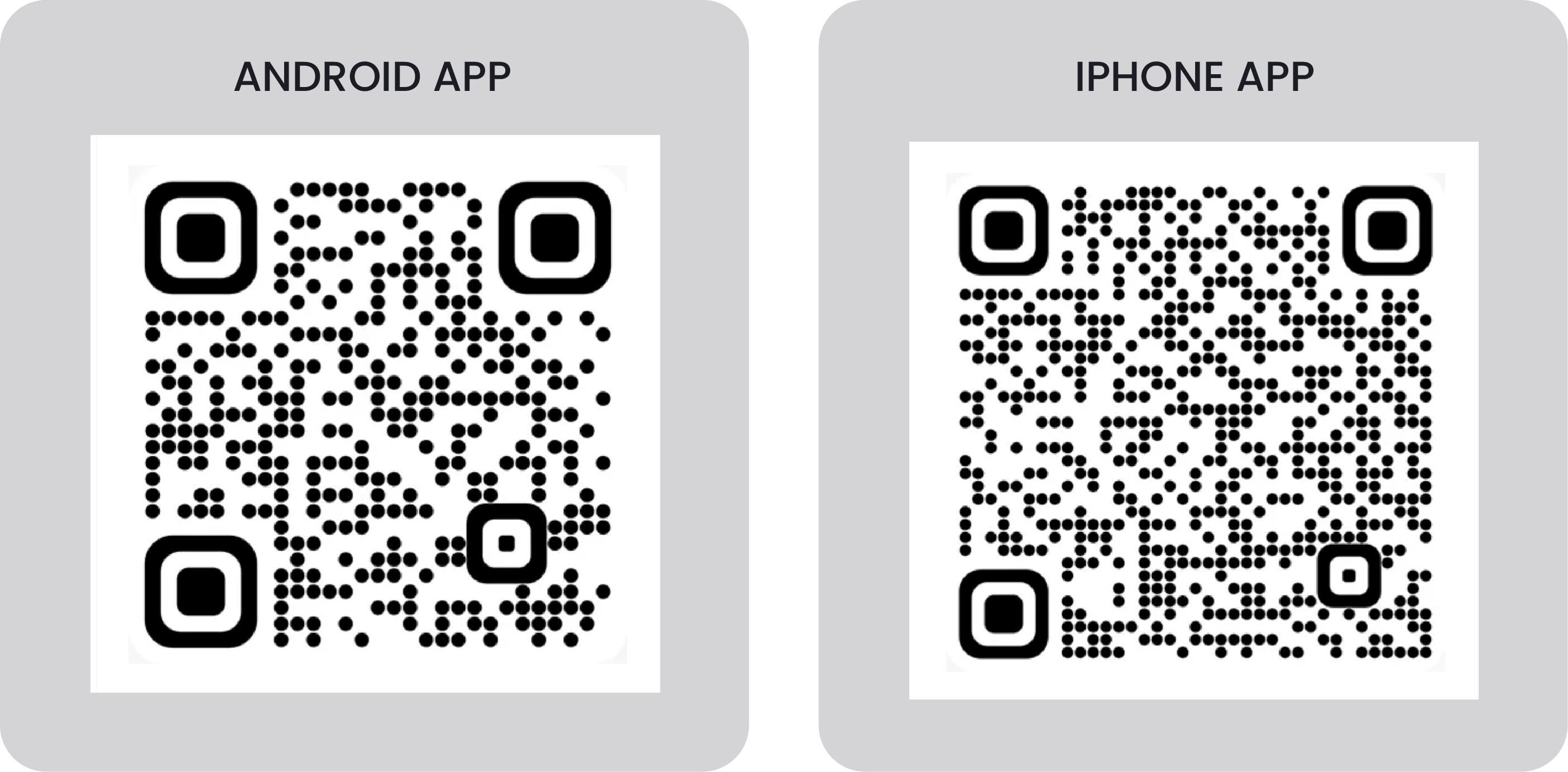 Right Image
